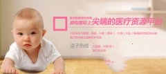 卵泡生长关注窦状卵泡和成熟卵泡